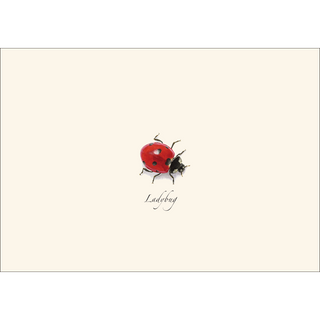 Ladybug -NEW- image 1