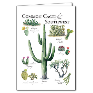 Cacti of the Southwest - Regional Card image 0
