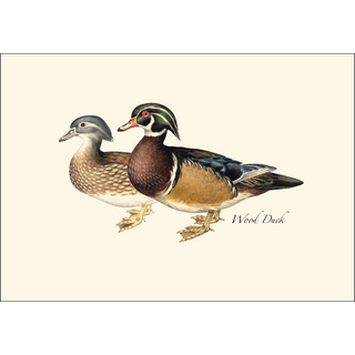 Duck Assortment image 1