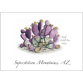 Purple Prickly Pear Cactus image 0