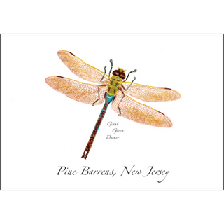 Giant Green Darner image 0