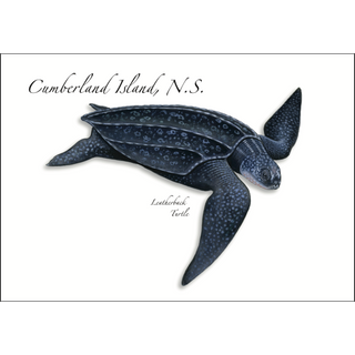 Leatherback image 0