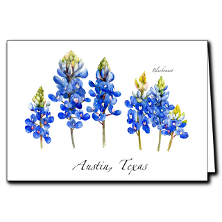 Bluebonnet image 0