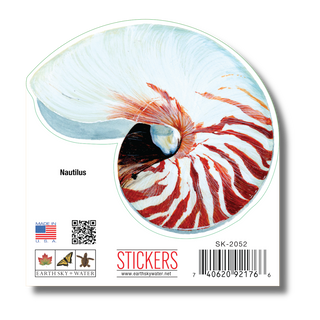 Nautilus image 1
