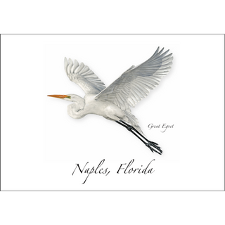 Great Egret image 0
