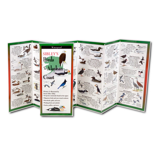 Sibley’s Birds of the Alaskan Coast image 1