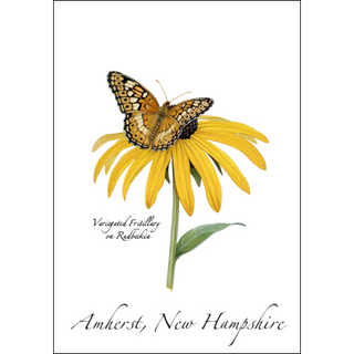 Variegated Fritillary image 0