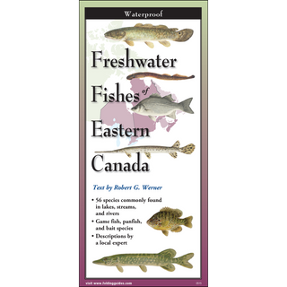 Freshwater Fishes of Eastern Canada image 0