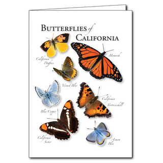 Butterflies of the California - Regional Card image 0
