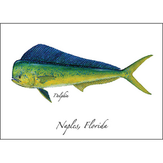 Dolphin image 0