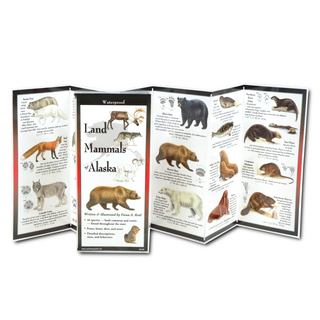Land Mammals of Alaska image 1