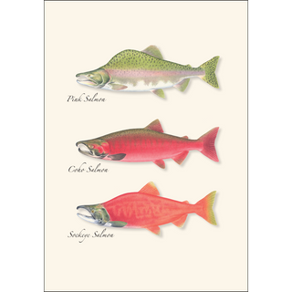 Salmon Trio image 1