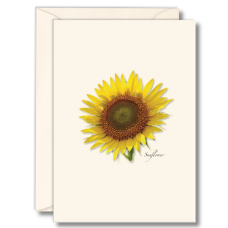Sunflower image 0