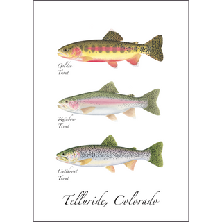 Western Trout Trio image 0