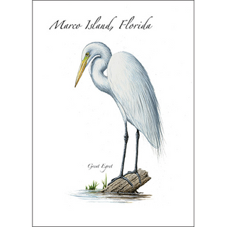 Great Egret image 0
