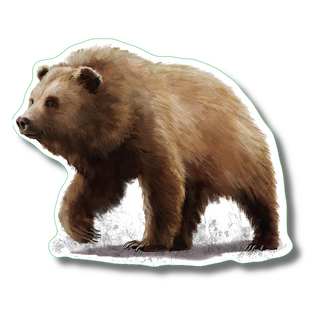 Grizzly Bear image 0