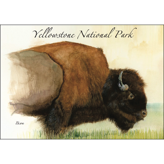 Bison in Profile image 0