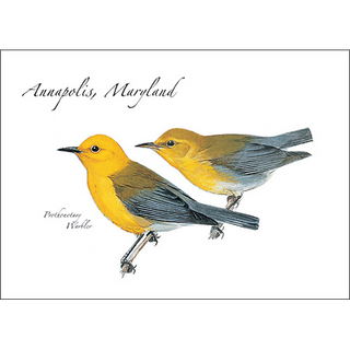 Prothonotary Warbler image 0