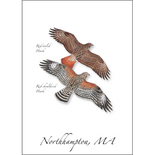 Hawk Duo image 0