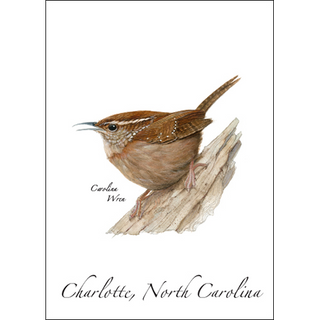 Carolina Wren image 0