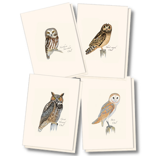 Sibley Owl Assortment image 0