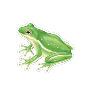 Green Tree Frog image 1
