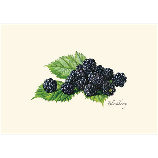 Berry Assortment II image 1