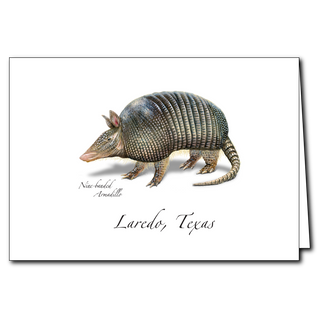 Nine-banded Armadillo image 0