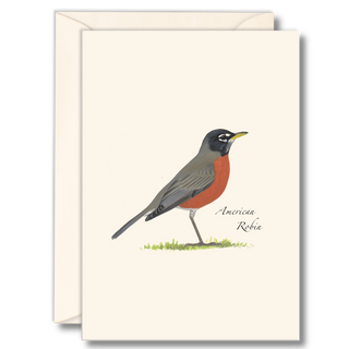 American Robin image 0