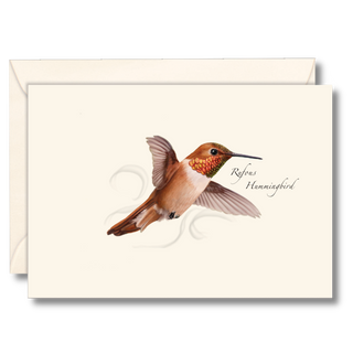 Rufous Hummingbird image 0