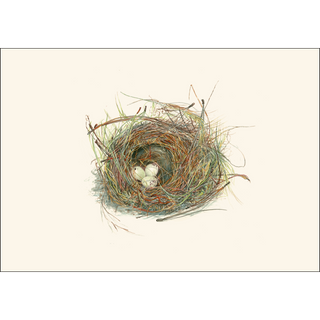Eggs in Nest image 1