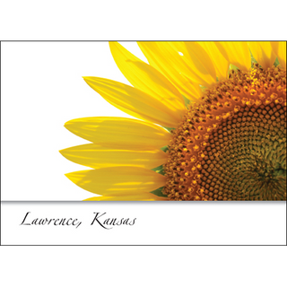 Sunflower II image 0