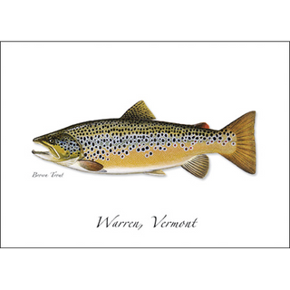 Brown Trout image 0