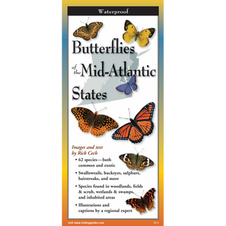 Butterflies of the Mid-Atlantic States image 0