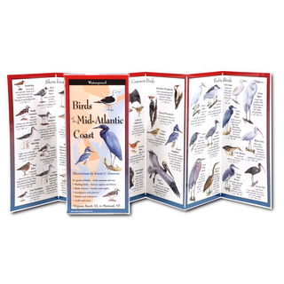Birds of the Mid-Atlantic Coast image 1