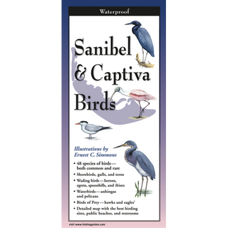 Sanibel & Captiva Birds image 0
