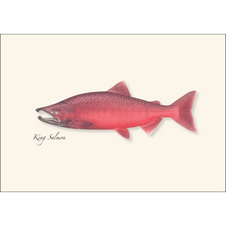 Salmon Assortment image 1