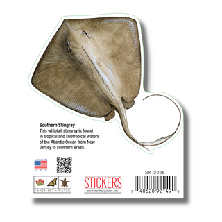 Stingray image 1