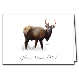 Elk image 0