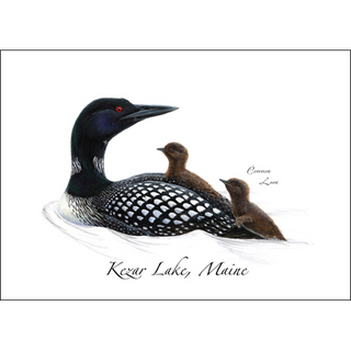 Common Loon with Chicks image 0