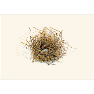 Eggs in Nest image 2