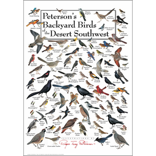 Peterson's Backyard Birds of the Desert Southwest - Poster image 0