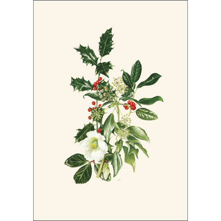 Hellebore &amp; Holly image 1