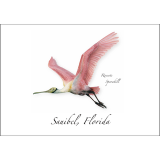 Roseate Spoonbill image 0