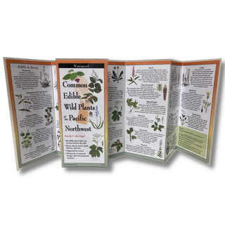 Common Edible Wild Plants of the Pacific Northwest