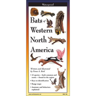 Bats of Western North America