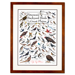 Peterson's Backyard Birds of the Great Plains