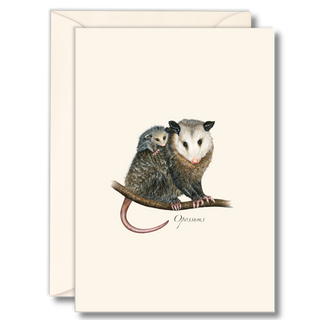 Opossums