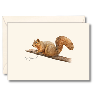 Fox Squirrel