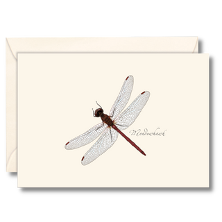 Meadowhawk Dragonfly
